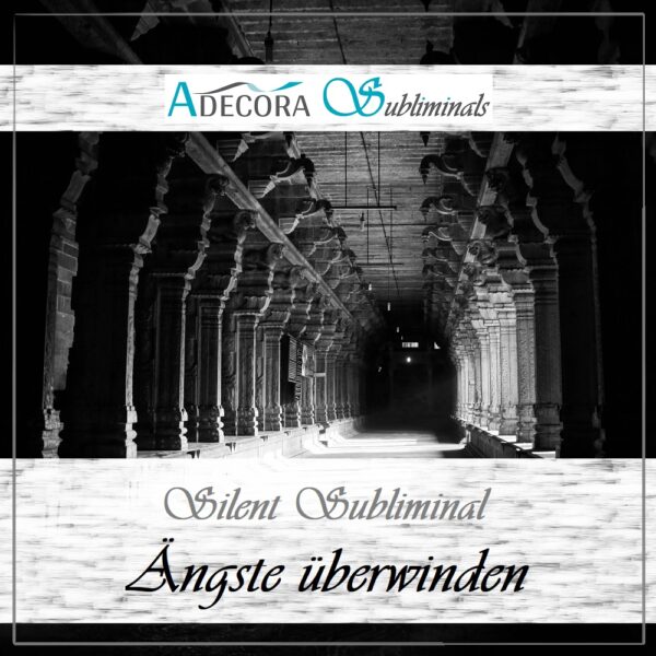 Silent Subliminal Paket Basis – Bild 2