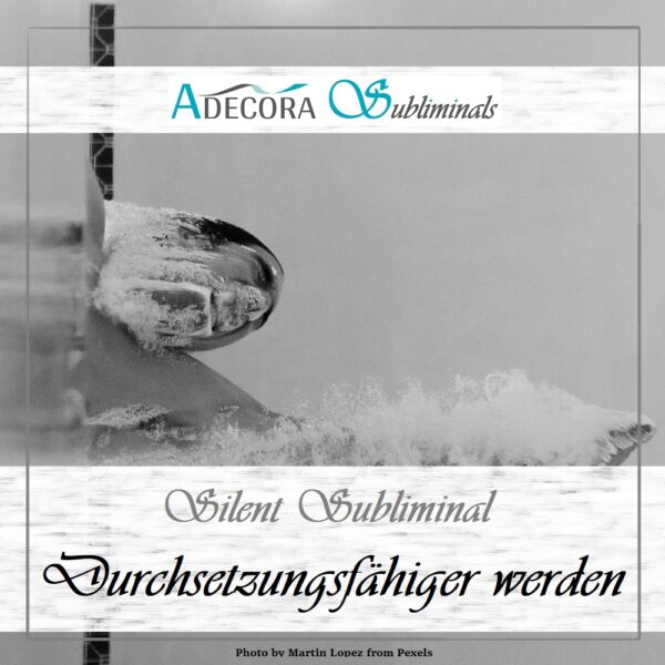 Silent Subliminal Erfolgspaket – Bild 4