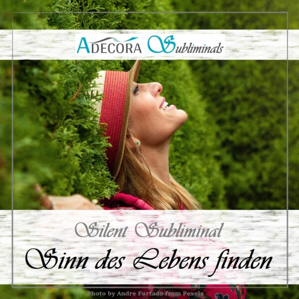 Silent Subliminal Persönlichkeitspaket Experte – Bild 3
