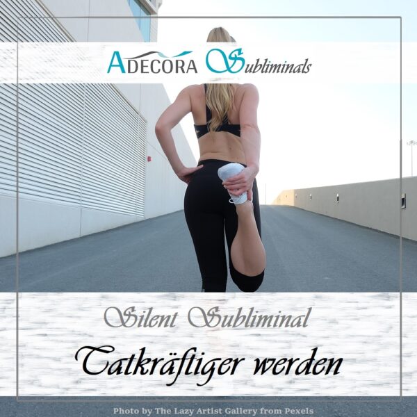 Silent Subliminal Business Paket – Bild 6