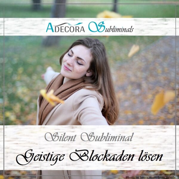 Silent Subliminal Paket Basis – Bild 4