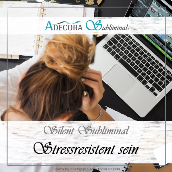 Silent Subliminal Persönlichkeitspaket Experte – Bild 4